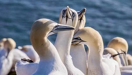 巴彦淖尔高价上海医保提取2025的最新政策(2025年巴彦淖尔上海医保怎么提取现金分享)