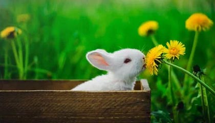 巴彦淖尔高价上海医保提取2025的最新政策(2025年巴彦淖尔上海医保怎么提取现金分享)